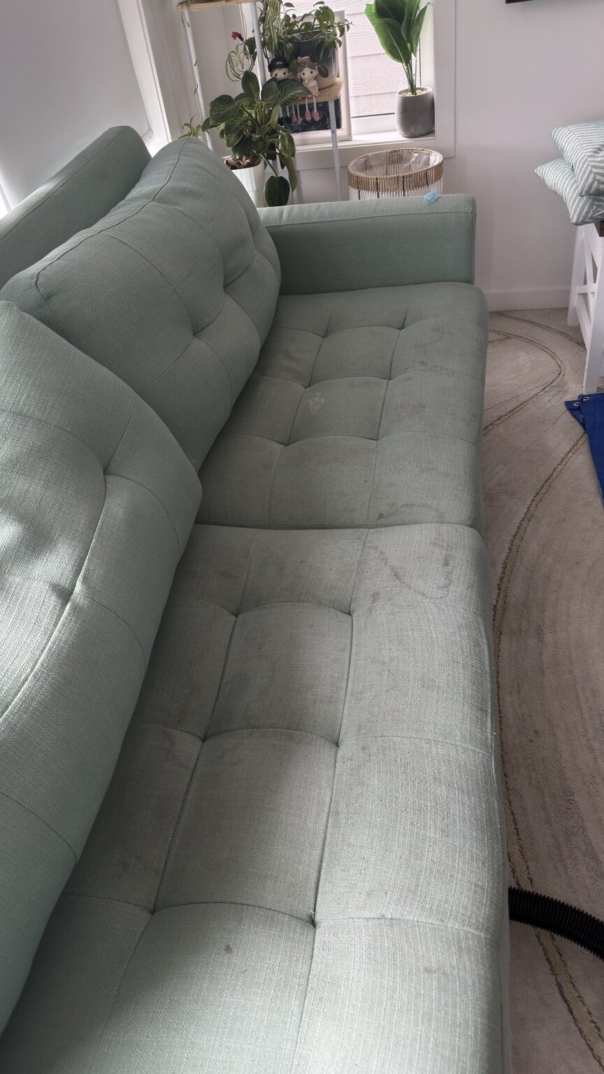 Green sofa cleaning before