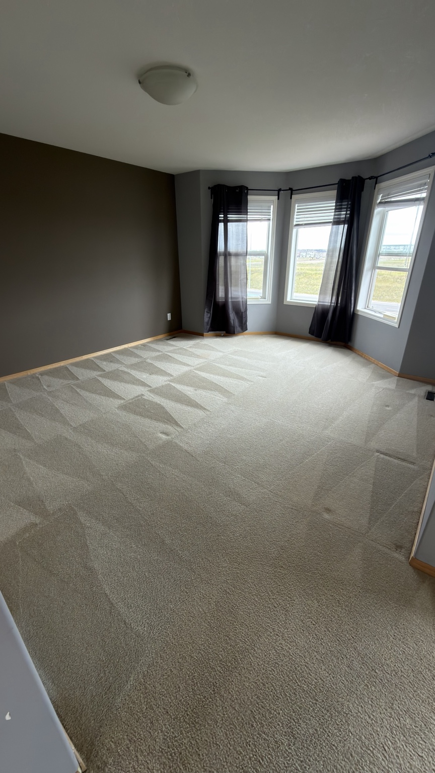 Living room carpet cleaning after
