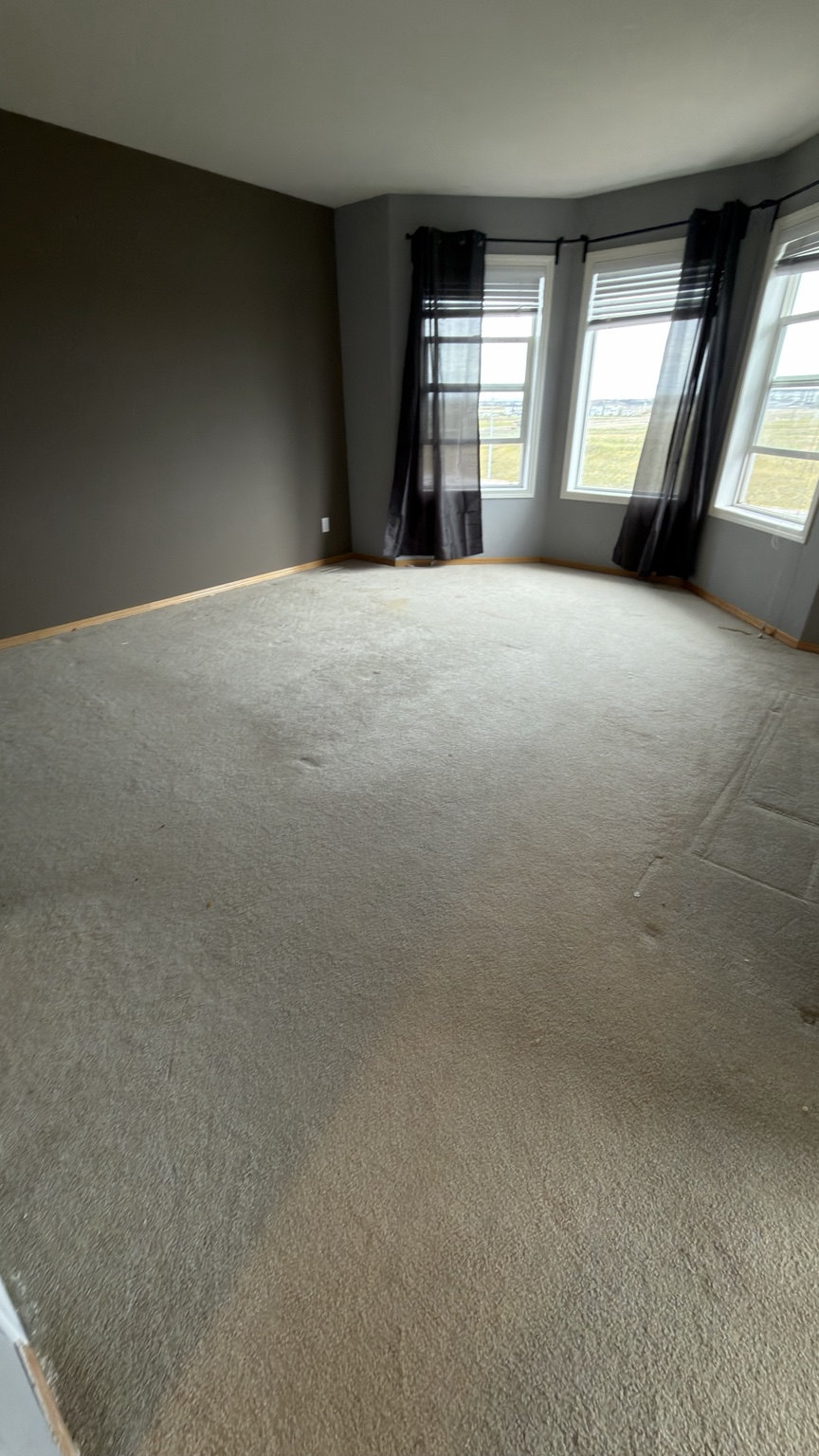 Living room carpet cleaning before
