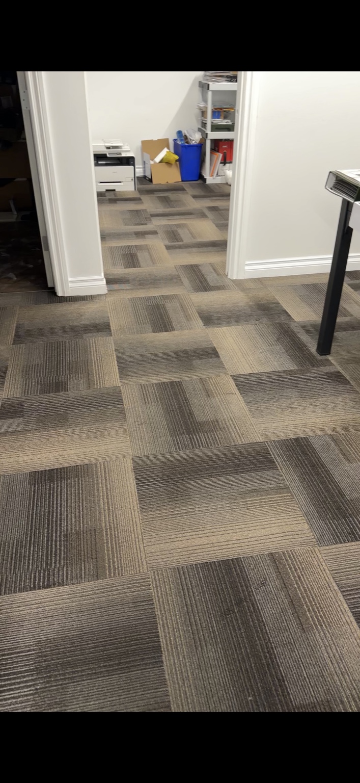 Commercial office carpet after cleaning